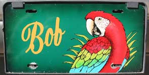 Bob - the parrot on the plate!